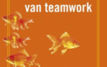 14. De 5 frustraties van teamwork